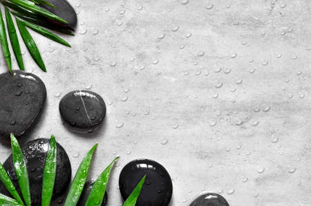 Grey spa background, moisturizing concept, palm leaves and black wet stones, top viewの写真素材
