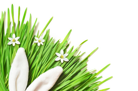 Easter funny bunny ears on green grass.