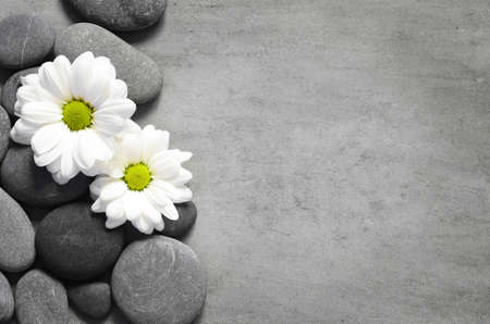 Set of white flowers on pebble. Spa concept.の写真素材