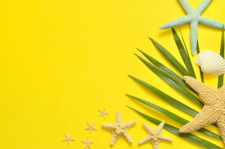Tropical Background. Palm tree branch with starfish and seashell on yellow background. Travel. Copy...