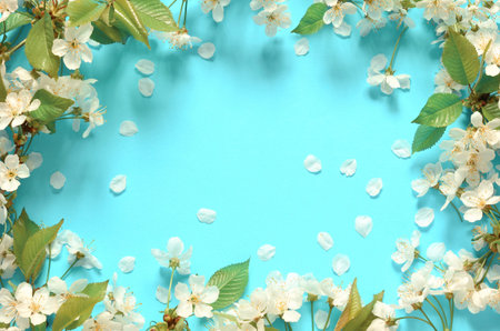 Flowering branches and petals on a blue background.