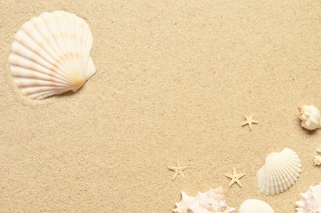 Sea sand with starfish and shells. Top view with copy space. Summer background.
