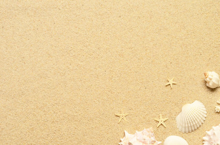 Sea sand with starfish and shells. Top view with copy space. Summer background.