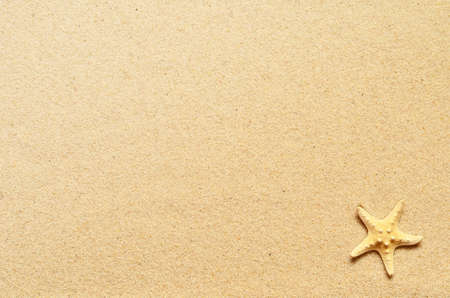 Sea sand with starfish. Top view with copy space. Summer background.の写真素材