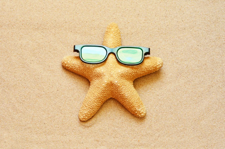 Funny starfish on the summer beach with sand.