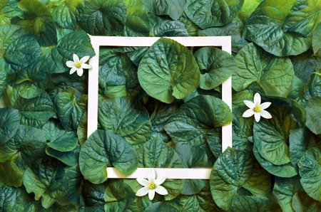 Creative layout made of leaves with white paper frame. Flat lay. Nature concept.の写真素材