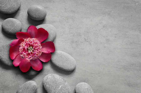 Beautiful flower and stone zen spa on grey backgroundの写真素材