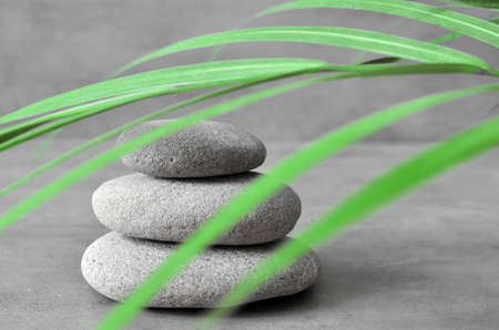 Stones balance and green palm leaf. Zen and spa concept.の写真素材
