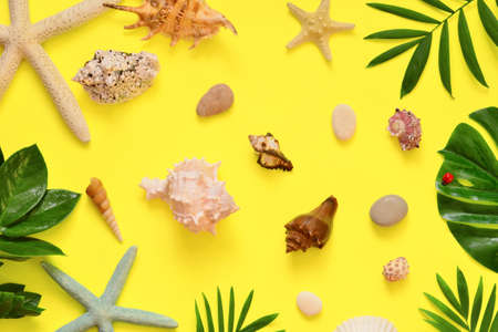Tropical Background. Palm Trees Branches with starfish and seashell on yellow background. Travel. Copy spaceの写真素材