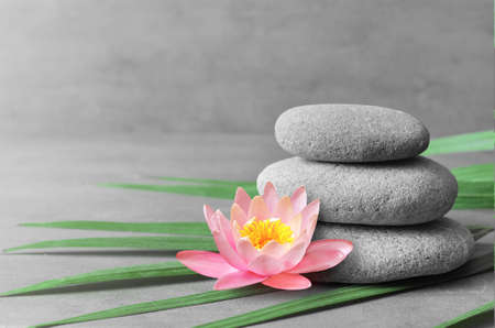 Stones balance, pink flower lotus and green palm leaf. Zen and spa concept.の写真素材