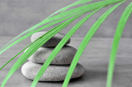 Stones balance and green palm leaf. Zen and spa concept.の写真素材
