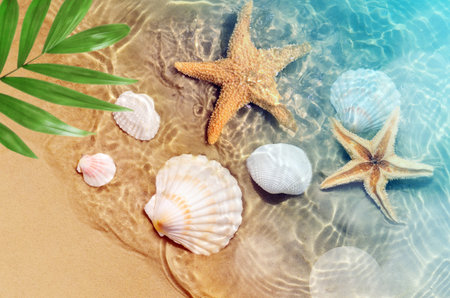 Starfish and seashell on the summer beach in sea water. Summer background. Summer time.