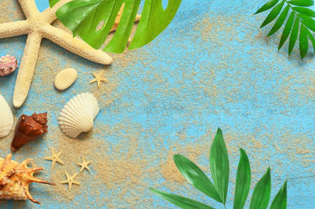 Tropical Background. Palm Trees Branches with starfish and seashell on blue background. Travel. Copy space.の写真素材