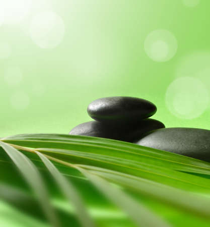 Stones for spa and green leaves on green backgroundの写真素材