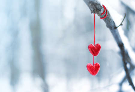 Red hearts on snowy tree branch in winter. Holidays happy valentines day celebration heart love conceptの写真素材