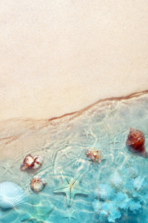 Seashell on the summer beach in sea water. Summer background. Summer time