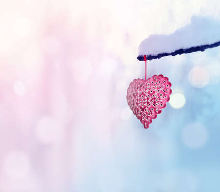 Red heart on snowy tree branch in winter. Holidays. Happy valentines day celebration. Heart love concept.の写真素材