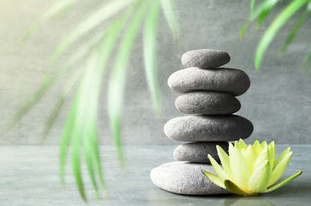 Stones balance, yellow flower lotus and green palm leaf. Zen and spa concept.の写真素材