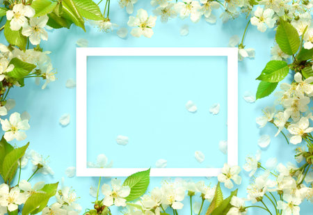 Beautiful spring nature background with lovely blossom, petal on turquoise blue background , top...