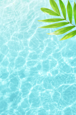 Beautiful nature green palm leaf on tropical sea. Summer background. Travel concept. Summer vacation