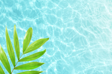Beautiful nature green palm leaf on tropical sea. Summer background. Travel concept. Summer vacation