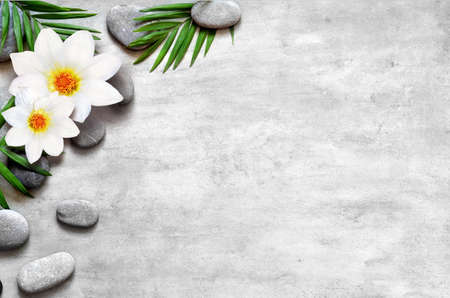 Flat lay composition with spa stones, flower and space for text on grey background.の写真素材