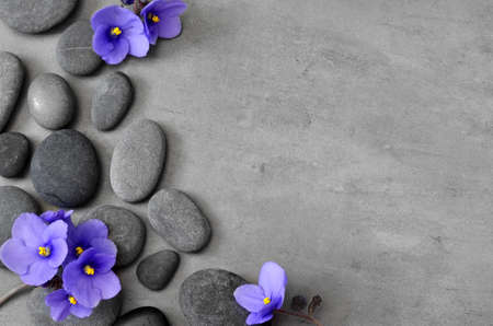 Blue flower and stone zen spa on grey background.の写真素材