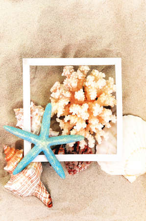 Top view of Beach sand with shells, coral and starfish with frame. Summer background conceptの写真素材