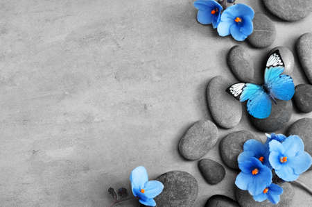 Blue flower and stone zen spa on grey background.の写真素材