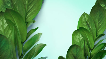 Green tropical leaves on a blue background, Top view.