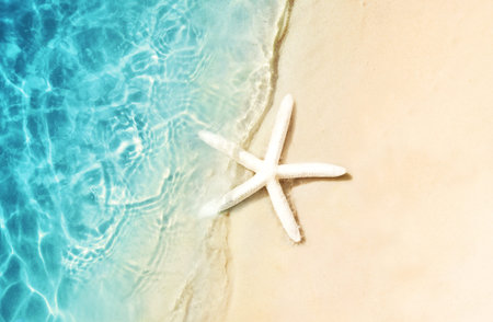 Starfish on the summer beach. Summer background. Tropical sand beach.