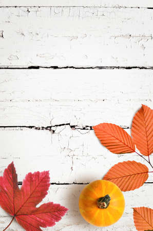 Autumn background of fall leaves on the wooden board, top view.の写真素材