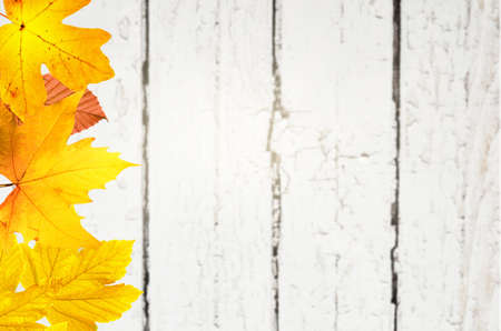 Autumn background of fall leaves on the wooden board, top view.の写真素材