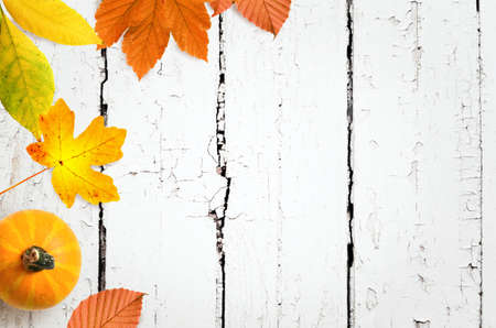 Autumn background of fall leaves on the wooden board, top view.の写真素材