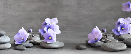 Zen stones and exotic violet flowers on grey background.の写真素材