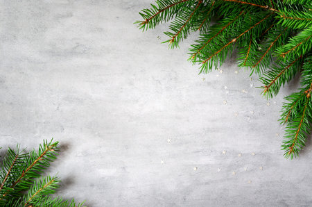 fir branches border on gray background, christmas backdrop.