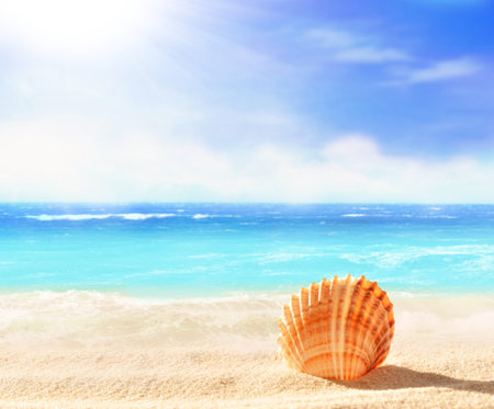 Landscape with seashell on tropical beach. Summer concept.