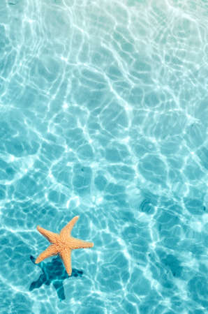 Starfish on the summer beach in sea water. Summer background. Summer time.の写真素材