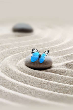 zen garden meditation stone background and butterfly with stones and lines in sand for relaxation balance and harmony spirituality or spa wellness.の写真素材