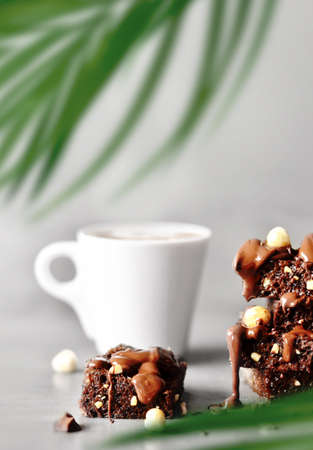 Stack of a brownie pieces with hazelnut, palm and cup on a grey table with gray background.の写真素材
