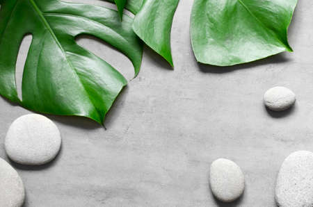 Flat lay composition with spa stones, green palm leaves on grey background.の写真素材