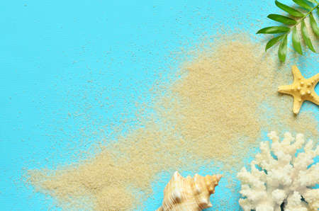 Summer vacation concept flat lay. Palm leaf, starfish, coral, sand and seashell. Travel summer concept.の写真素材