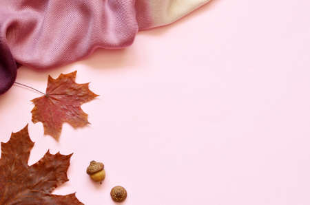 Autumn composition. Autumn leaves and scarf on pink background. Flat lay, top view, copy space.の写真素材