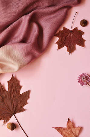 Autumn composition. Autumn leaves and scarf on pink background. Flat lay, top view, copy space.の写真素材