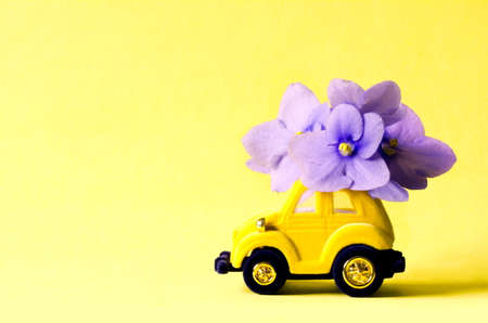 Card with a little toy yellow car delivering bouquet blue flowers on yellow background.の写真素材
