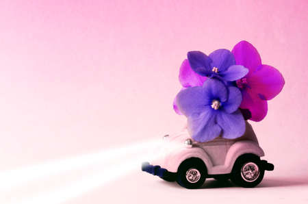 Card with a little pink toy car delivering bouquet blue flowers on pink background.の写真素材