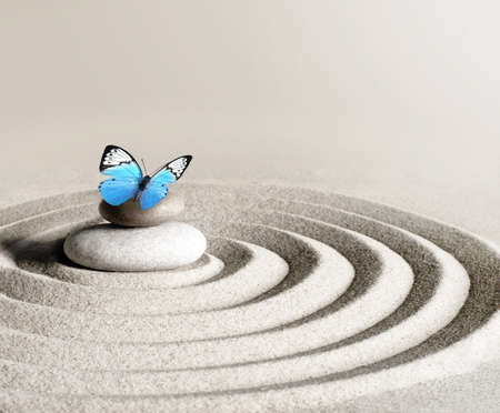 Japanese zen garden meditation stone concentration and relaxation sand and rock with butterfly for harmony and balance.の写真素材