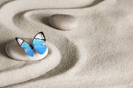 Japanese zen garden meditation stone with butterfly, concentration and relaxation sand for harmony and balance.の写真素材