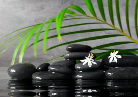 Spa concept with wet black stones, palm leaf and white flower on a gray background.