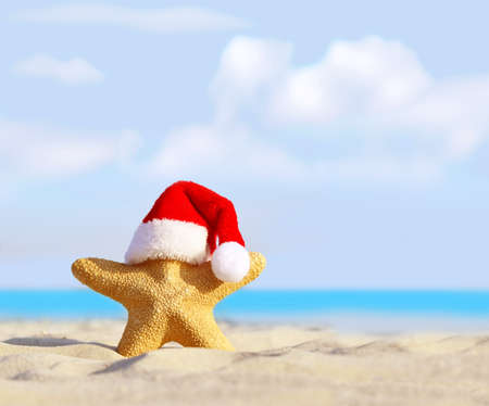 Summer beach. Merry Christmas. Starfish in Santa Claus hatの写真素材